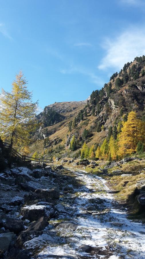 شقة Adlerhof سانكت ليونارد إم بيتزتال المظهر الخارجي الصورة